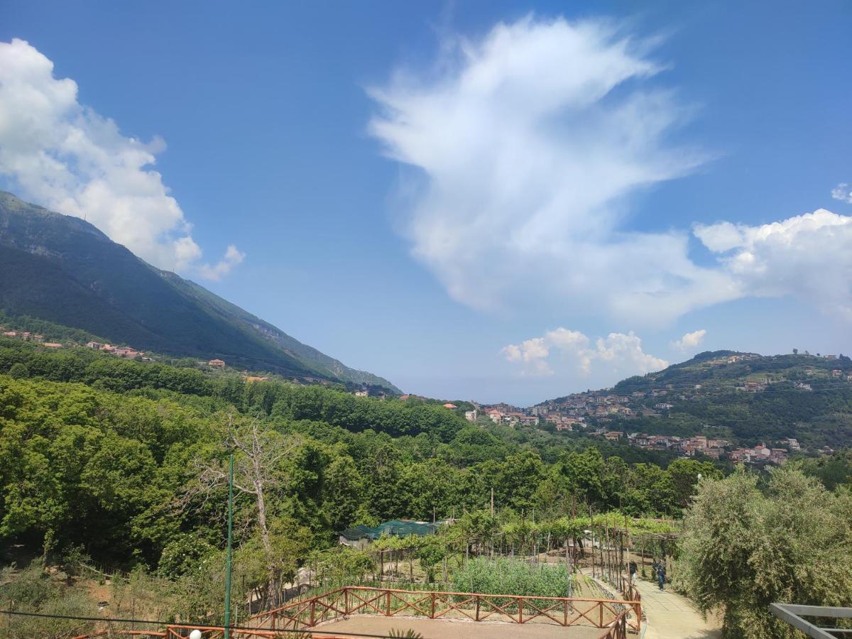 La Masseria 皮埃蒙特 外观 照片
